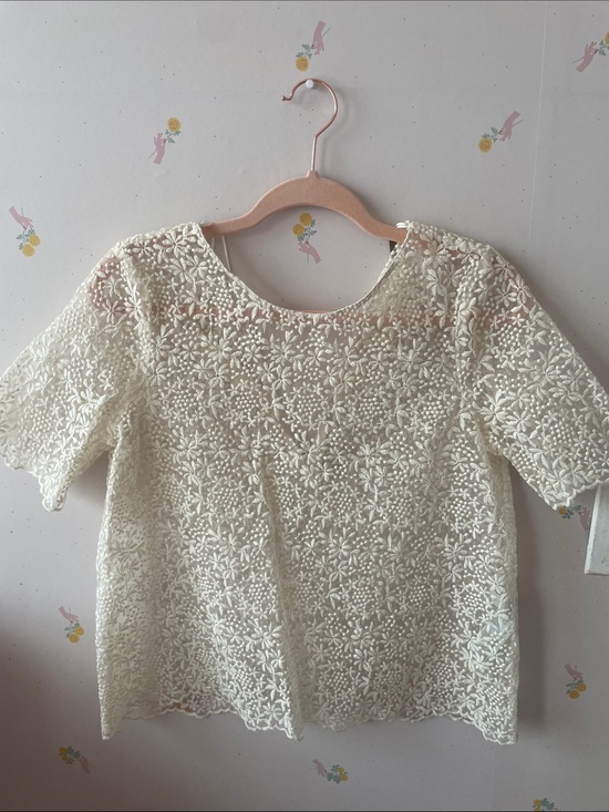 Zara Tops - Zara Cream Floral Lace Short Sleeve Blouse